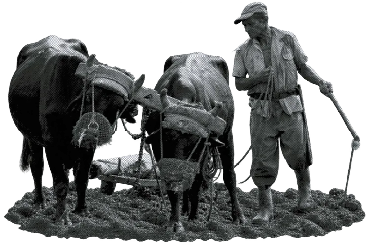 A farmer ploughing with a pair of oxen